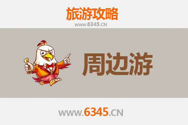 琼中上安乡深度游：雨林探秘与黎苗文化体验全攻略